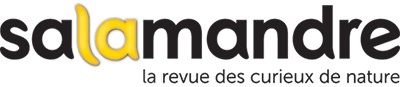 La Salamandre