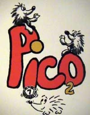 Pico 2