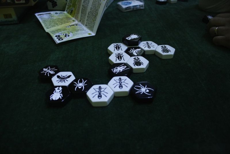 <a href="http://www.jedisjeux.net/hive-carbon">Hive carbon</a>