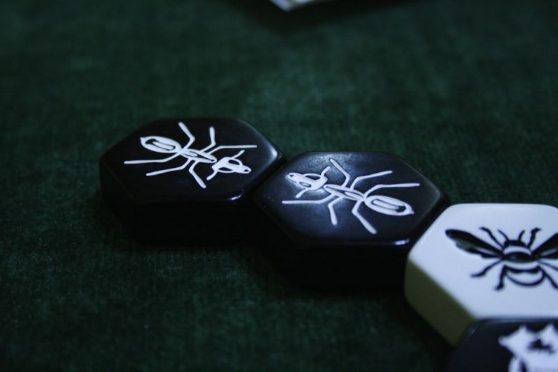 <a href="http://www.jedisjeux.net/hive-carbon">Hive carbon</a>