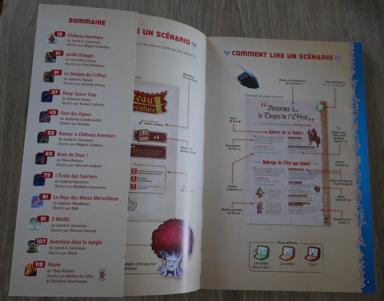 Le livre reprend les illustrations des plans et le détail des actions possibles.