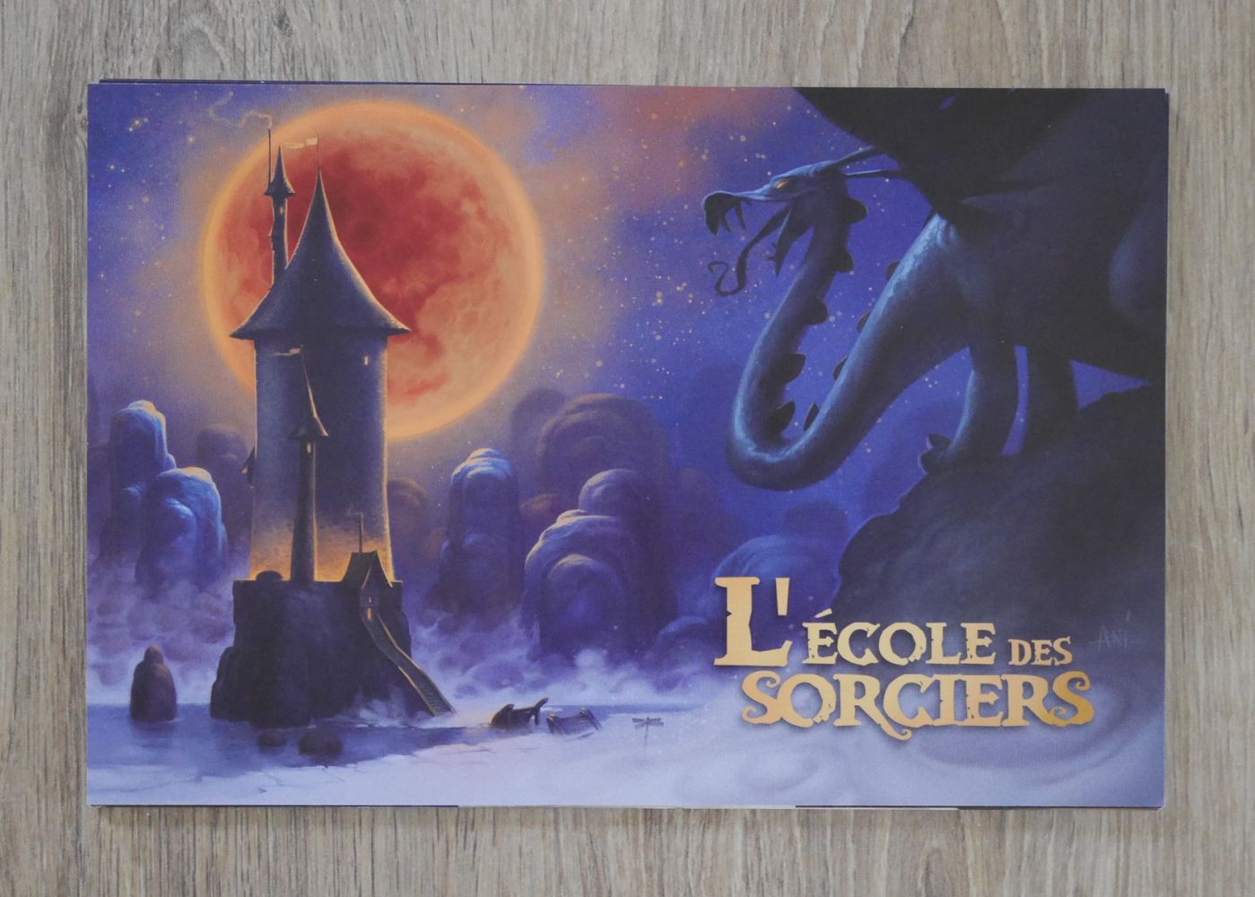 De Gabriel Durnerin, illustrations par Mathieu  Leyssenne