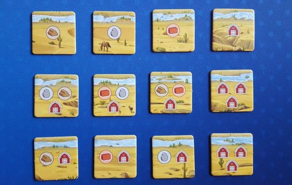 Les 12 tuiles déserts