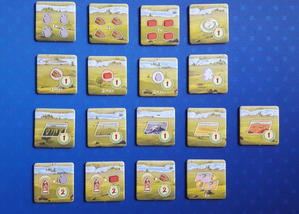 Les 17 tuiles prairies