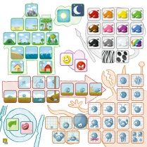 Concept Kids: Animals