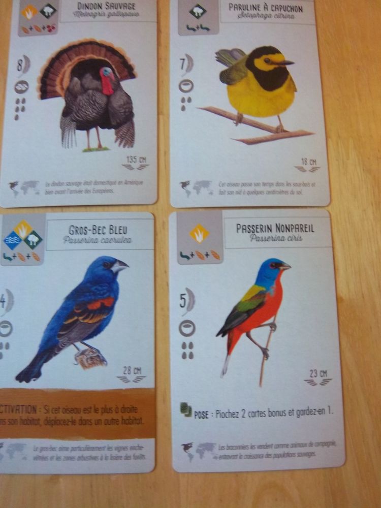 Quelques (beaux) spécimens ailés...