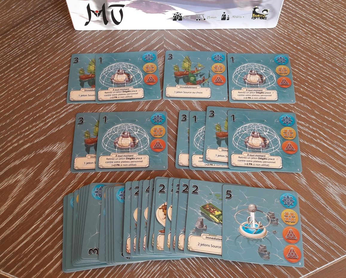 Les cartes projets.  Chaque joueur démarre la partie avec 2 projets identiques et les 3 de la phase de  draft.