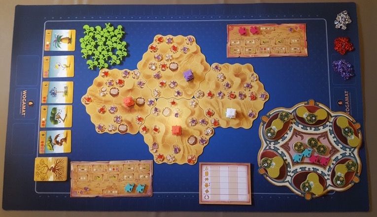 Une petite erreur de mise en place corrigée après la photo et avant le début de la partie^^  A vous de trouver !