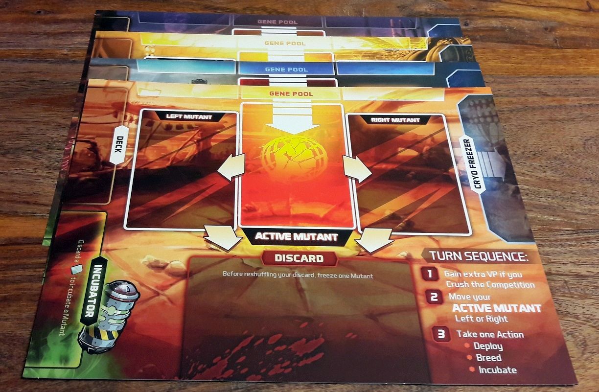 Chacun son plateau avec le marché en haut et les 3 cartes en jeu au milieu.