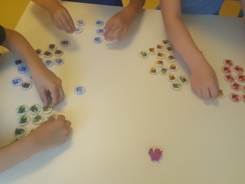 On trie les 69 jetons oeufs par couleur.