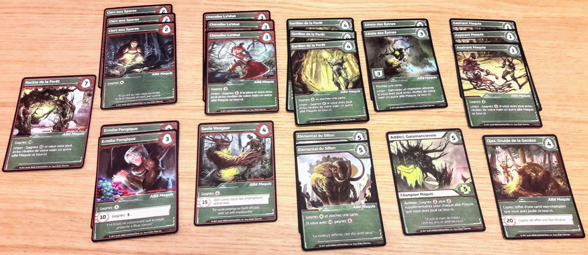 Leur spécialité : le soin et la maîtrise.