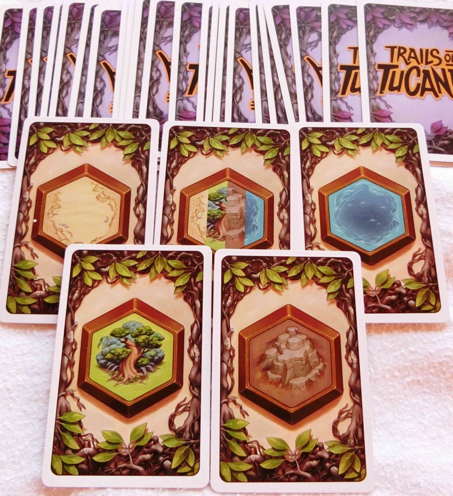 On peut voir les 5 terrains ci-dessus avec le terrain au centre qui est un joker.