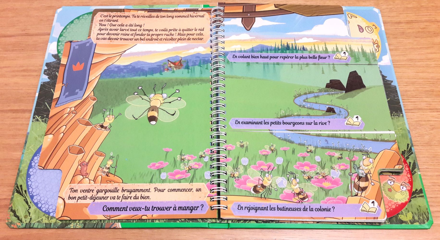 Nous sommes une simple abeille et allons essayer de devenir reine ; déjà un premier choix.