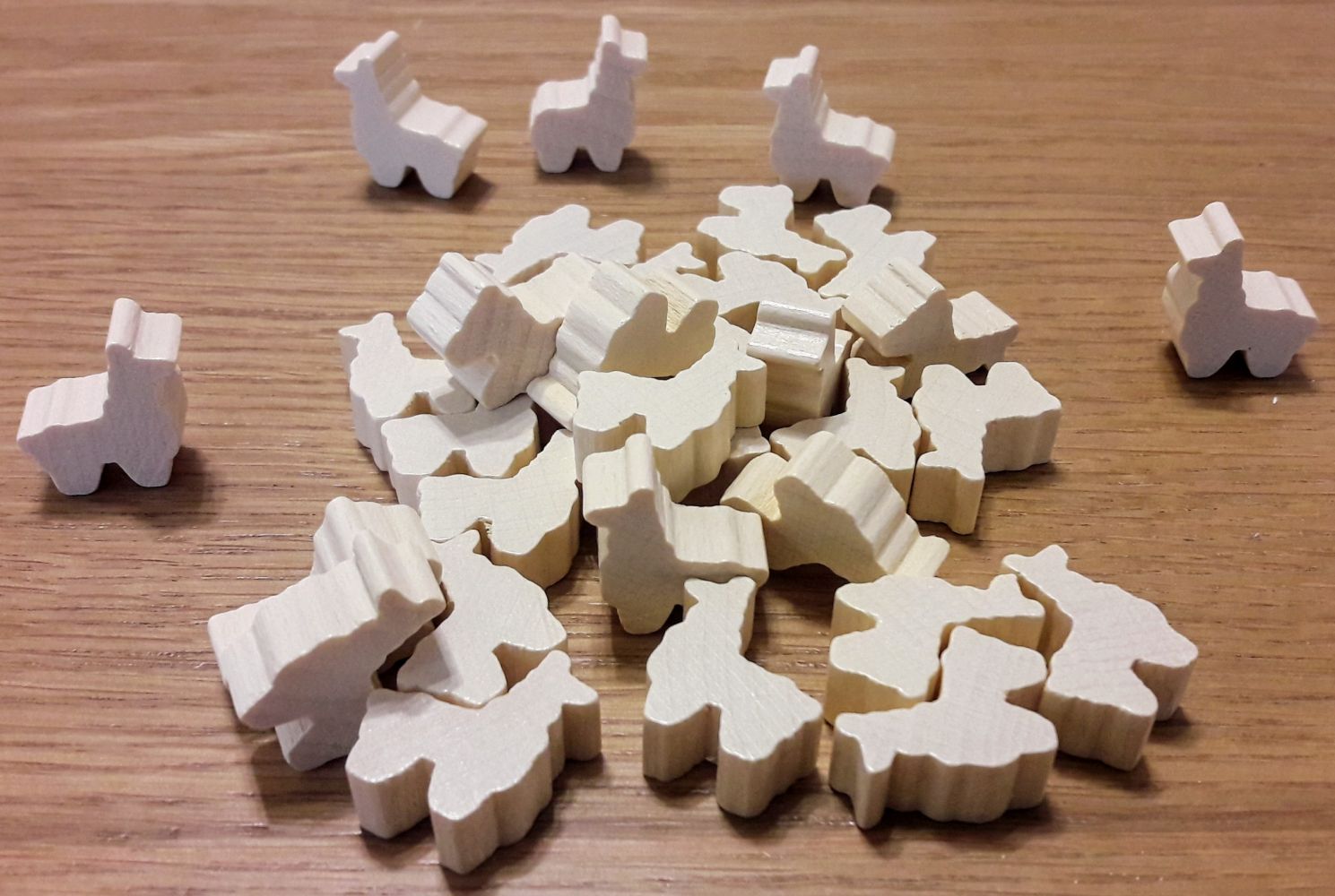 Je dois avouer que ces lamas blancs ou alpaga sont terriblement mignons.