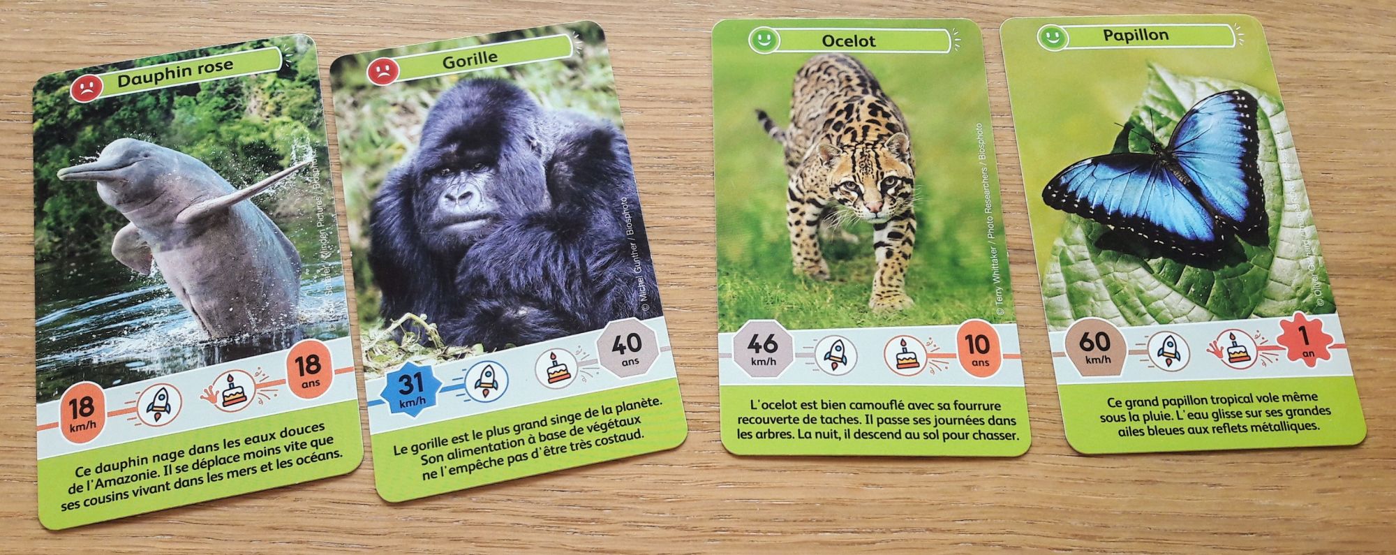 On retrouvera tant des animaux bien connus que d'autres plus rares.