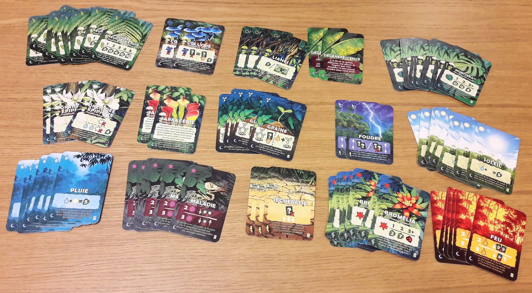 Les cartes flore  seront utiles pour faire des collections et les cartes événements viendront bouleverser la partie