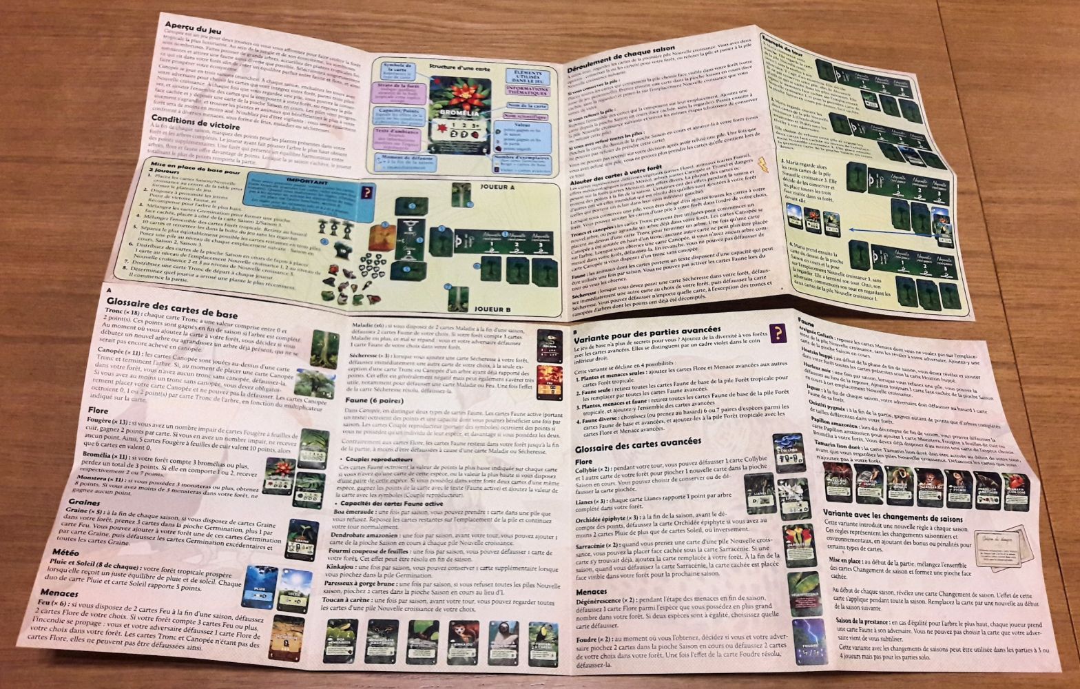 Deux feuillets pour les règles, les variantes et les détails de chaque carte.