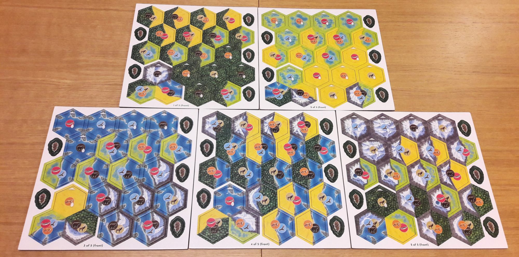 Pas moins de 85 tuiles offrant différentes combinaisons d'habitats.