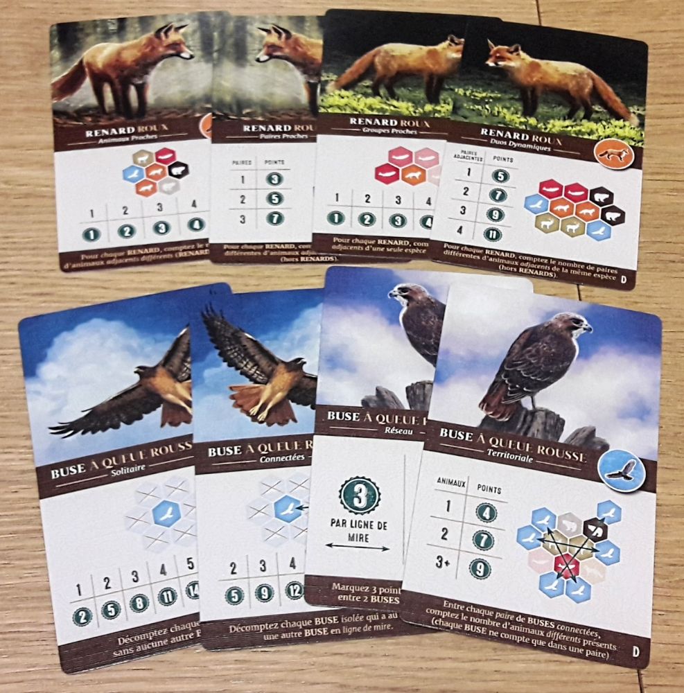 les renards aiment la diversité alors que les buses préfèrent l'isolement...