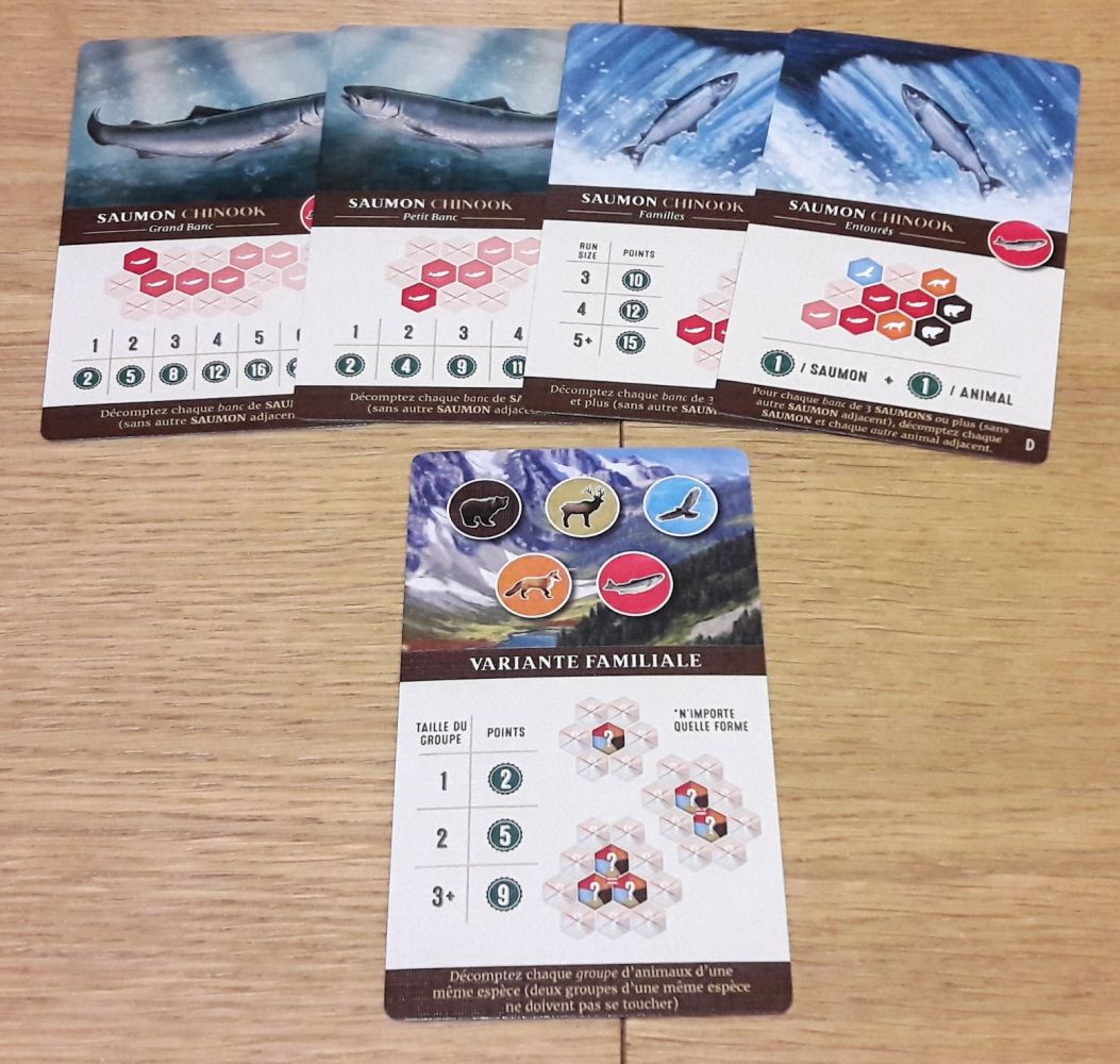 les saumons vivent en ban et la variante familiale permet de rendre le jeu accessible à tous !