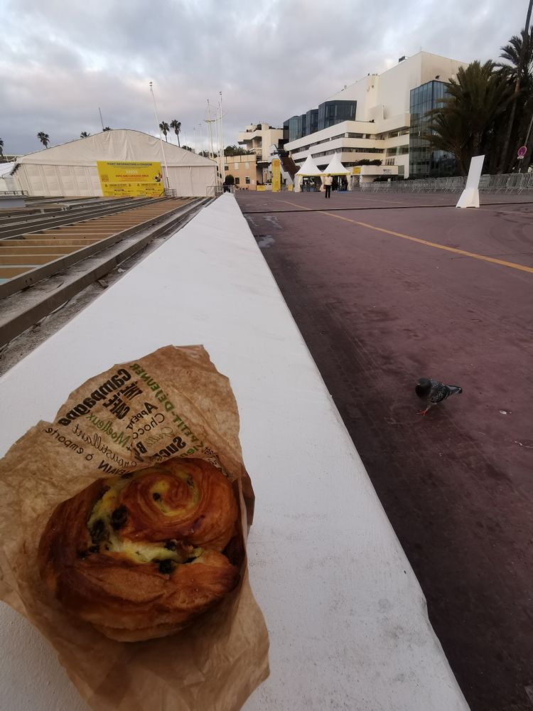 Cannes deuxième  jour 7h55 AM …