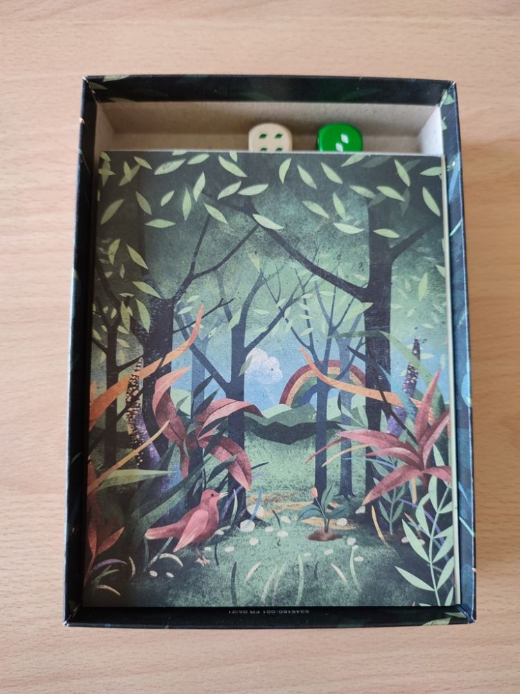 1 énorme bloc de fiches de couleur et 2 dés (1 vert et 1 beige). Donc pas de crayon !