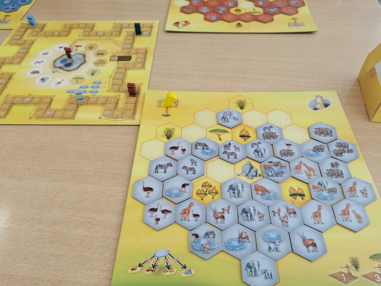 Fin de partie à la ludothèque. Le Bleu clair a gagné en plaçant une majorité d’autruches et d’antilopes à gauche du parc alors que l’on retrouve les rhinocéros et girafes à droite. Les éléphants répartis sur 3 lacs plombent le score.
