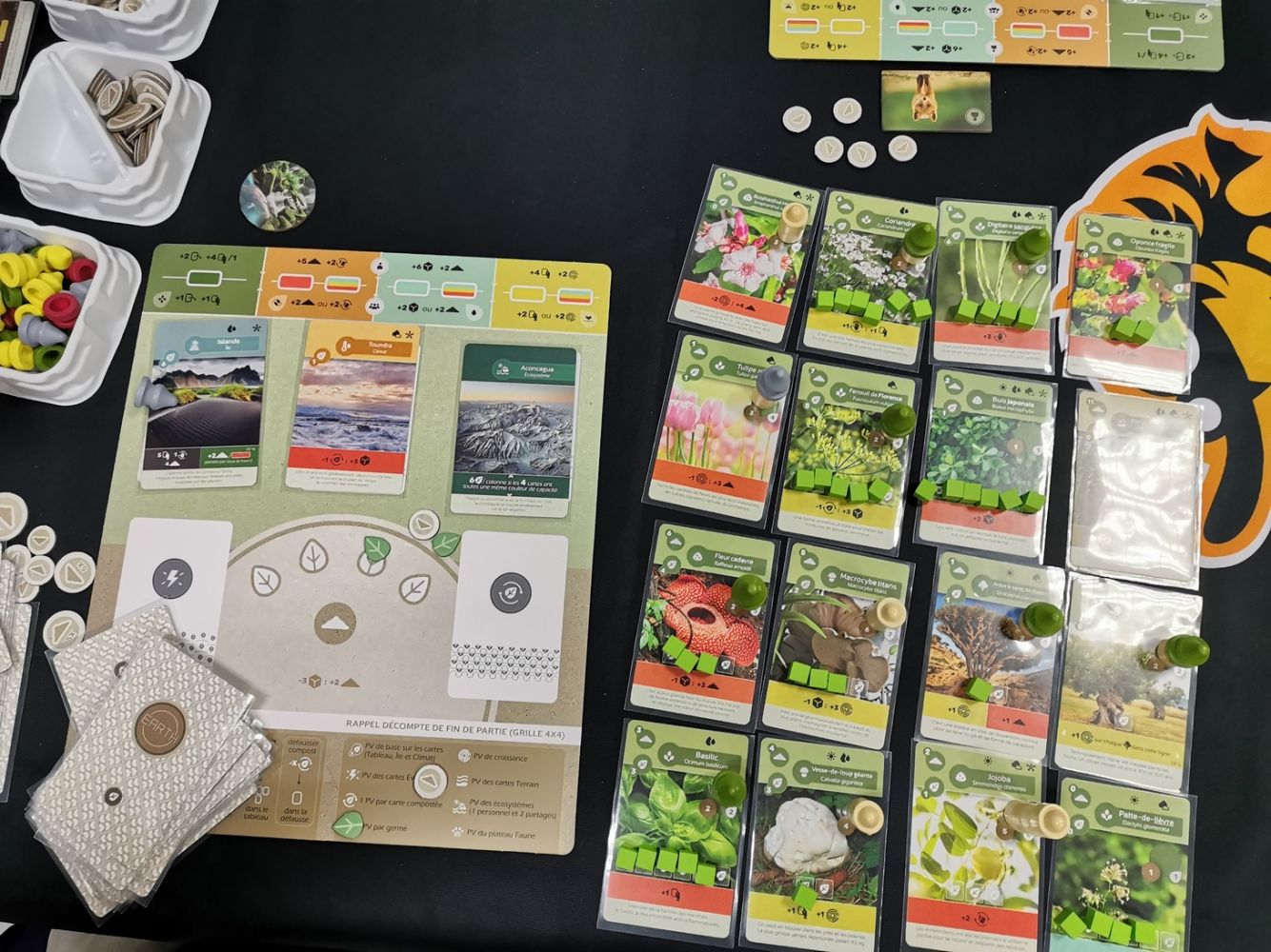 Fin de partie : 196 points pour mon Islande … à 5 points près du vainqueur.