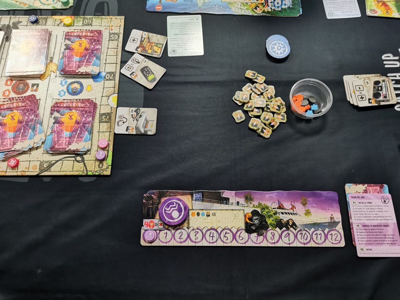 un plateau individuel : hormis la couleur du joueur, ce plateau marque surtout  le niveau de rage de la tribu.