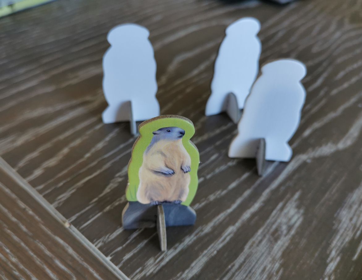 Comme la découpe des 4 planches de jetons est identique. On a 3 marmottes non imprimées… inutiles mais  je ne jette jamais rien !