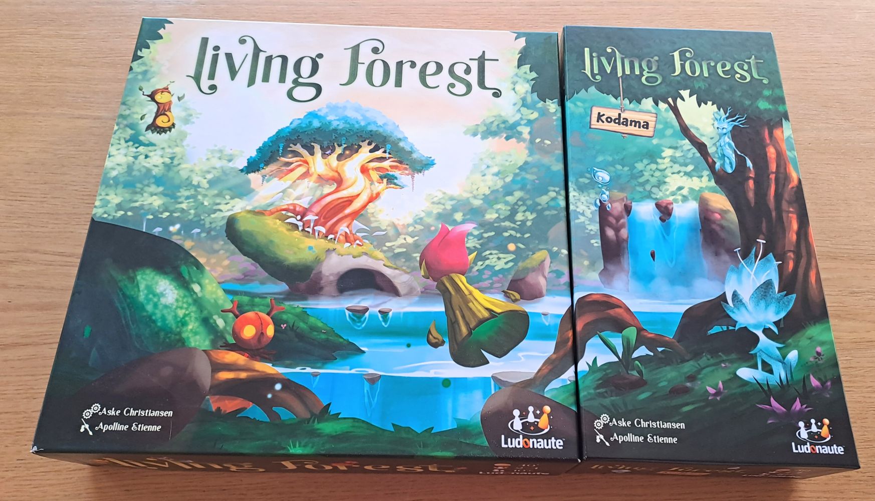 Les boîtes forment une frise... à quand la seconde extension à gauche ?