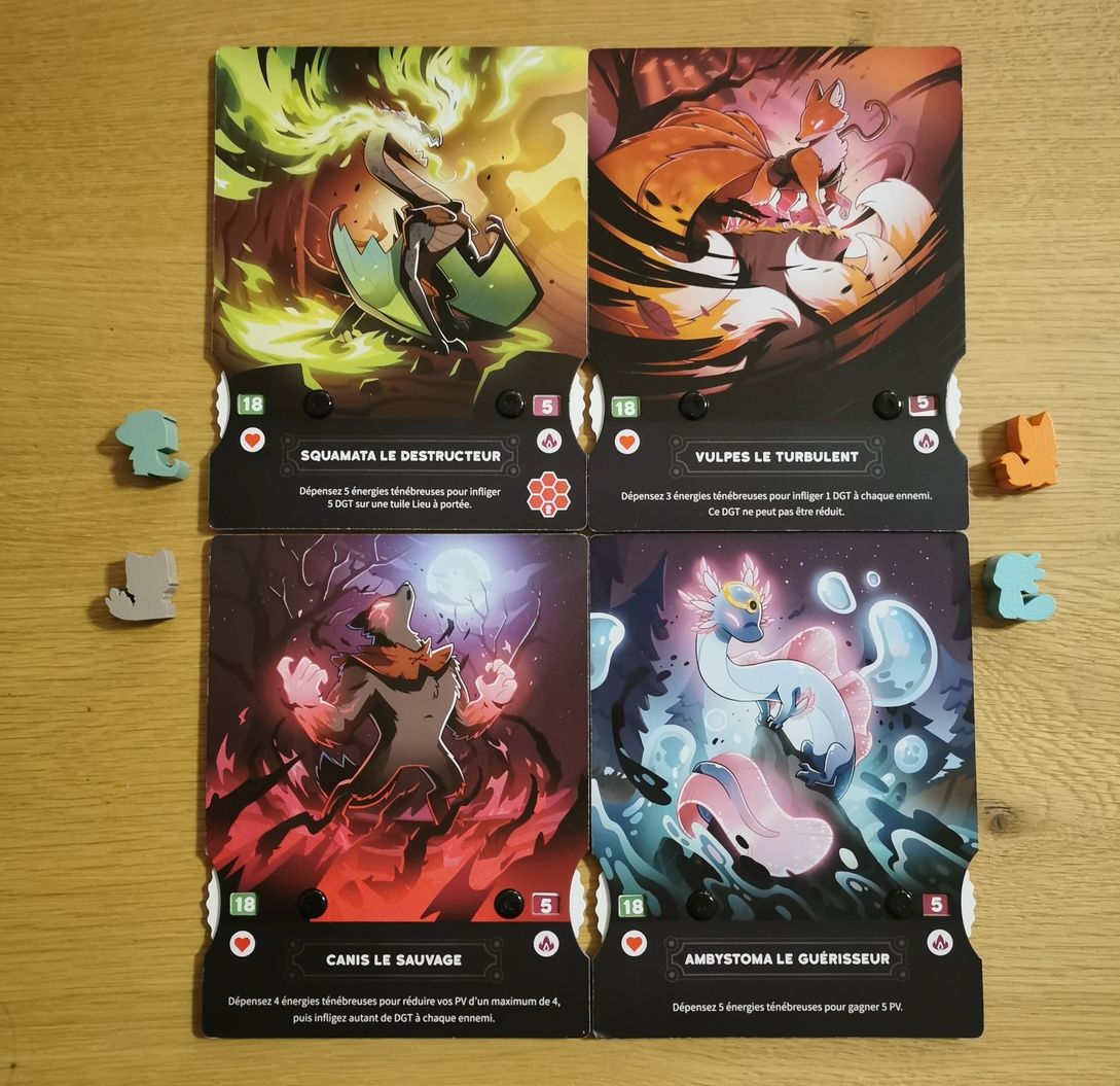 Les plateaux individuels côté forme ténébreuse.