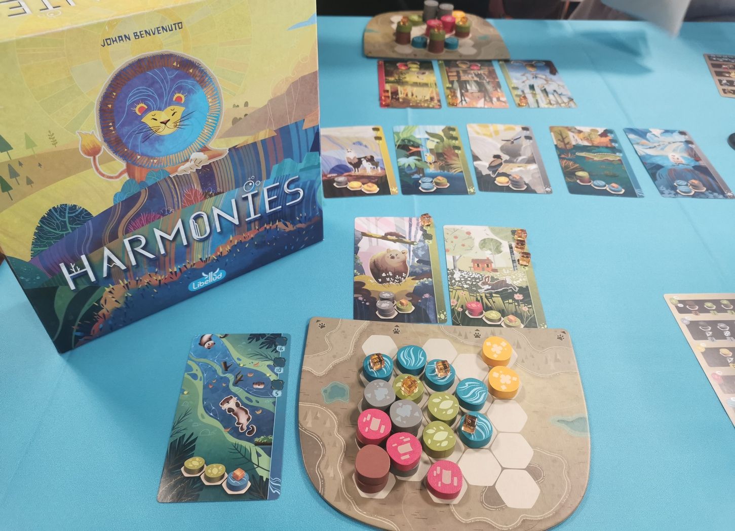 Ma région en cours de partie.