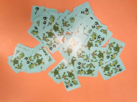 Dos des cartes avec le rappel des 4 Animaux marins.