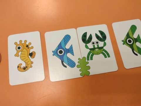 Certaines cartes Animal marin ont une moitié de dessin d'Algues sur un des côtés. Si à son tour de jeu, le joueur réussit à associer deux cartes avec des algues il n'aura pas à  lancer le dé Attaque.