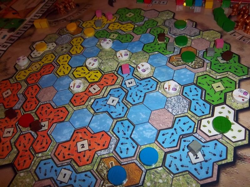 Les fourmis se répandent sur le plateau et laissent des phéromones partout...sous le jeton vert, un élevage de pucerons. Les jetons blancs sont des insectes divers...des futures proies !