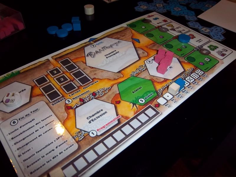 Un plateau individuel...l'intérieur de votre fourmillière