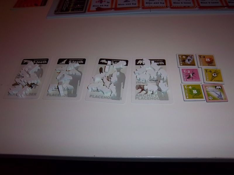 Mes espèces (celle de départ est à droite), les meeples, les gènes de descendance...