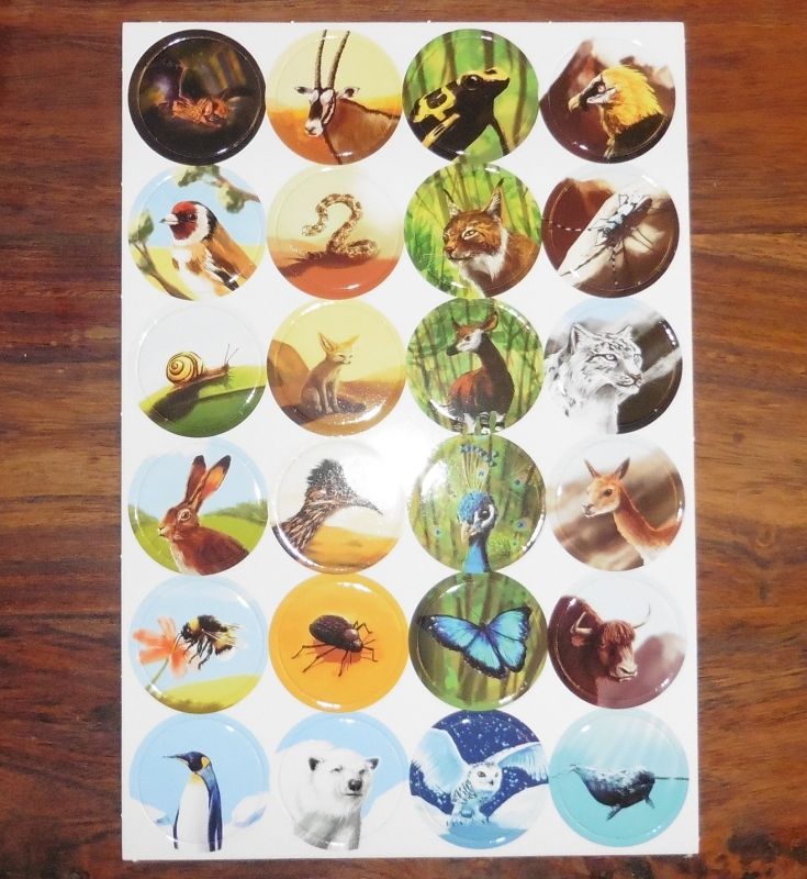 Ils ne sont pas mignons tous ces animaux des 5 climats du jeu ?