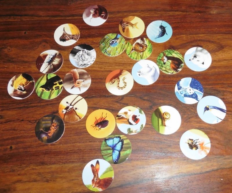 De jolis jetons photos d'animaux une fois dépunchés.