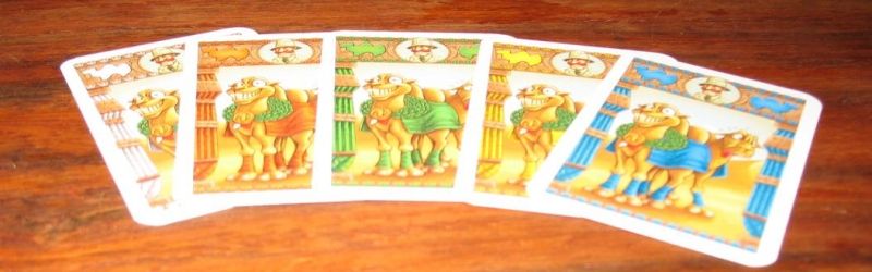 On peut parier sur chacun des 5 chameaux