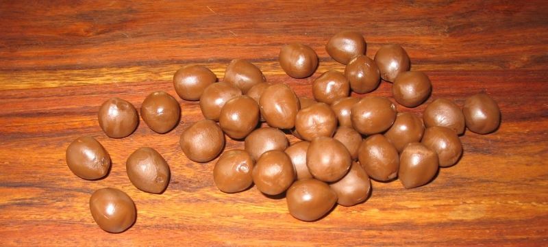 Que ne serait le jeu sans ses noix de coco, dans ce matériau tant élastique :)