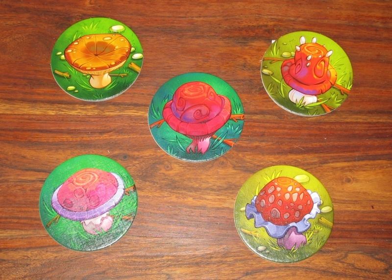 Pas sûr qu'ils soient tous comestibles, mais là n'est pas la question !