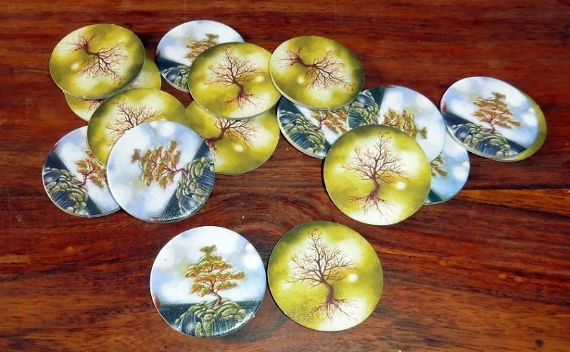 D'un côté, il se meure : il faudra le planter. De l'autre l'arbre est en pleine santé.