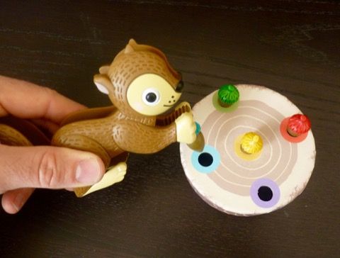 L'écureuil pince en action pour placer les glands sur le rondin.