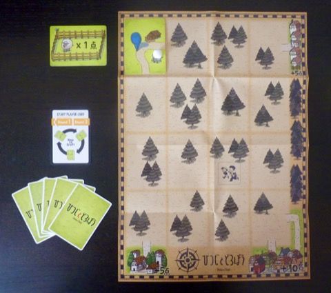 L'espace de jeu pour un joueur.