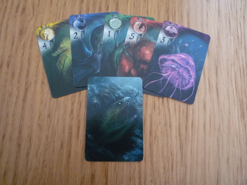 Les cartes "Exploration"