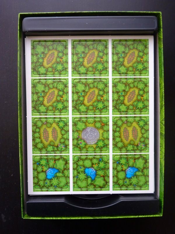 Les tuiles jungle avec des plantations de fèves de cacao, des sources et des lieux de culte du soleil.