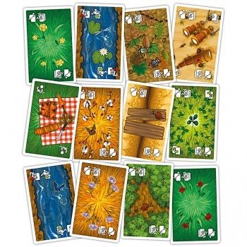 Courons Dans les Bois