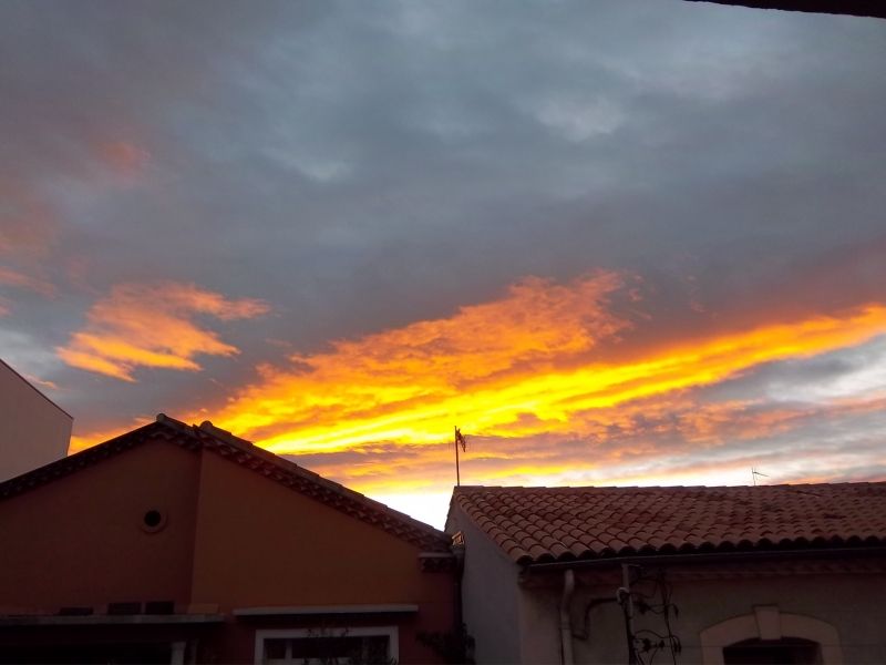 Pour me consoler de ce gadin, un peu de poésie dans ce monde de brutes...rêverie depuis ma terrasse.
